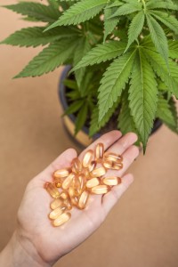 What do you know about CBD?