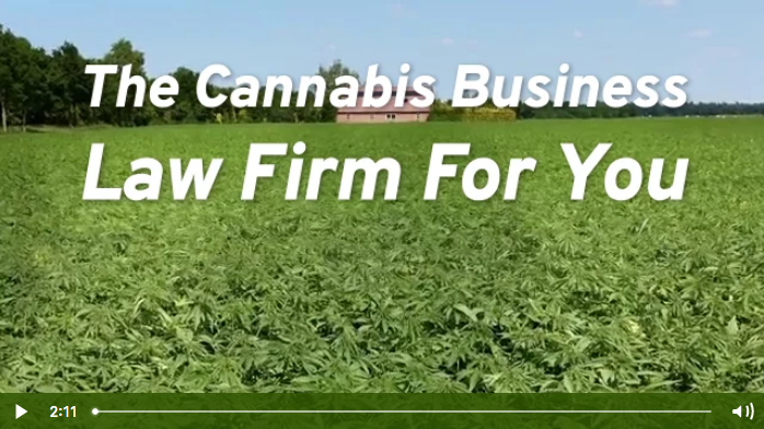 The Cannabis Business Law Firm for You