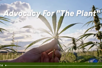 Advocacy for the cannabis plant.