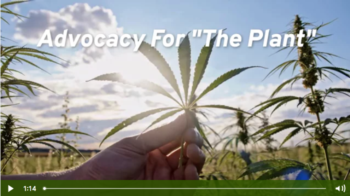Advocacy for the cannabis plant.
