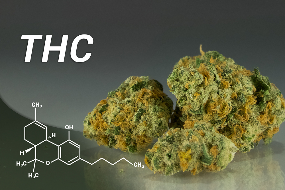 thc-analogs-a-family-divided-kight-on-cannabis